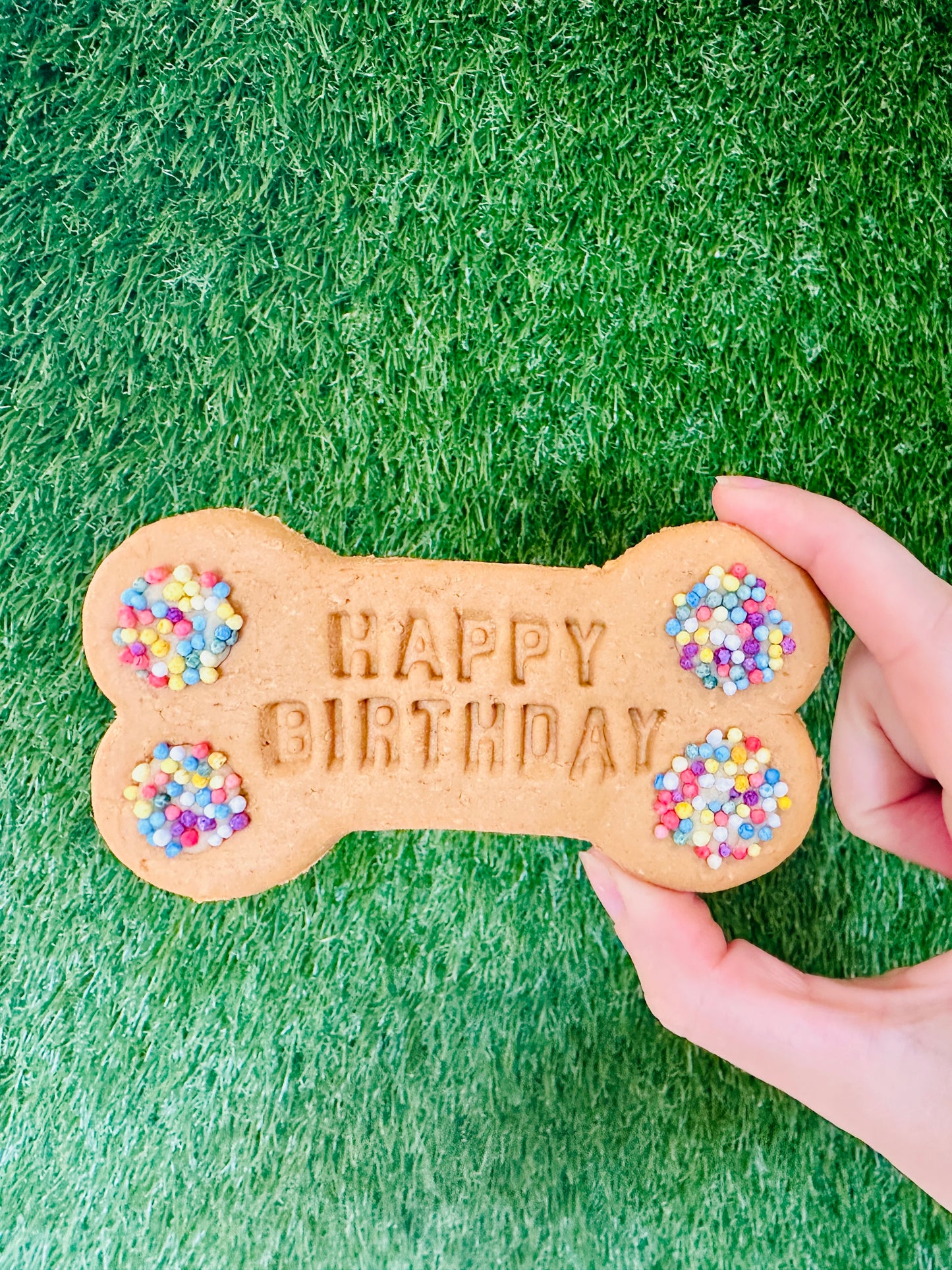 Birthday Big Biscuit Bone