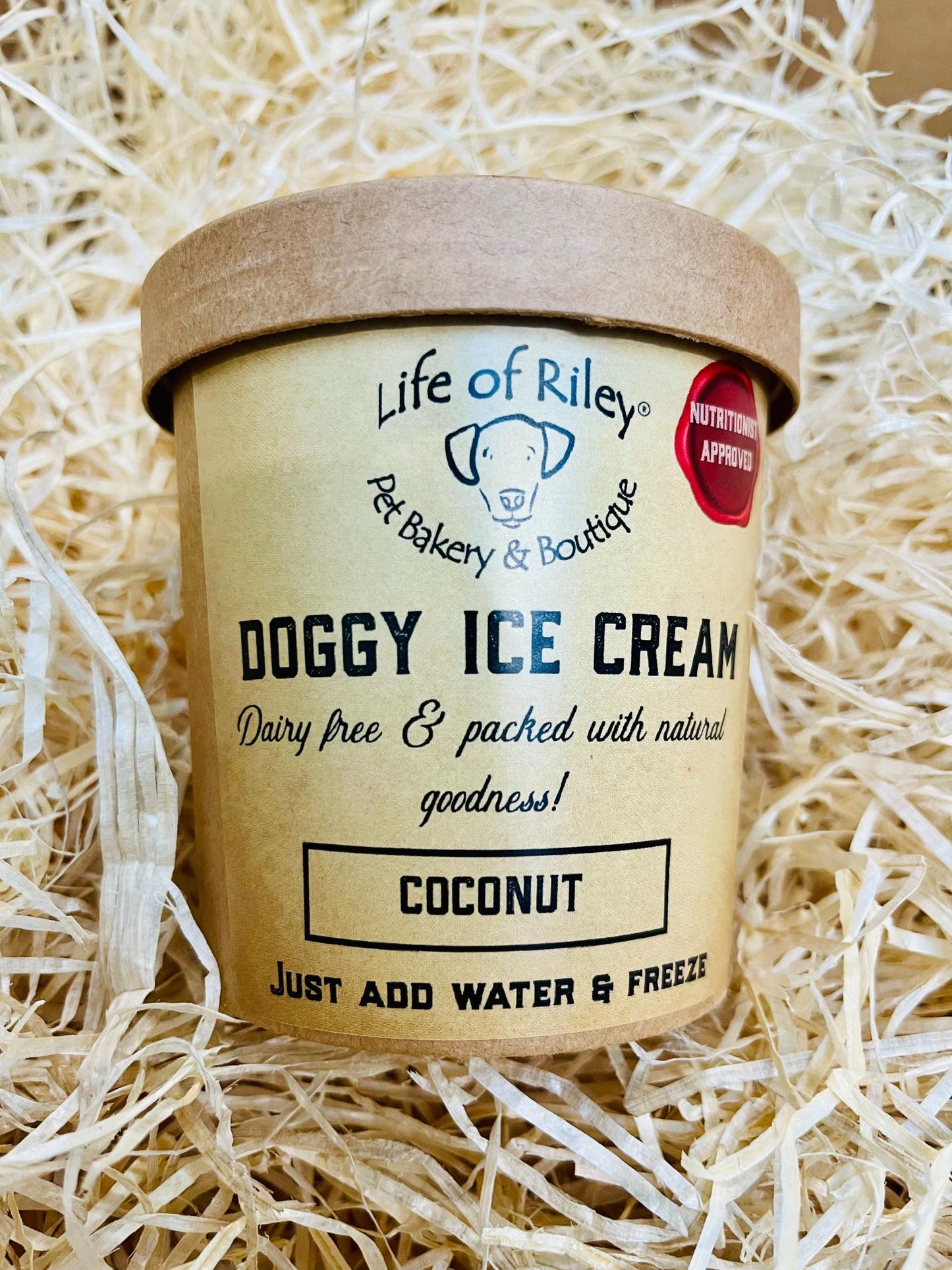 Doggy DIY Ice Cream Kit - Just Add Water!