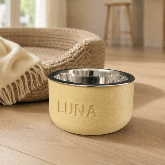 A personalized pet bowl in a warm beige textured finish with a polished stainless steel interior, featuring the name 'LUNA' embossed on the front. It is set on a light wood floor next to a woven pet bed in a softly blurred modern home interior.