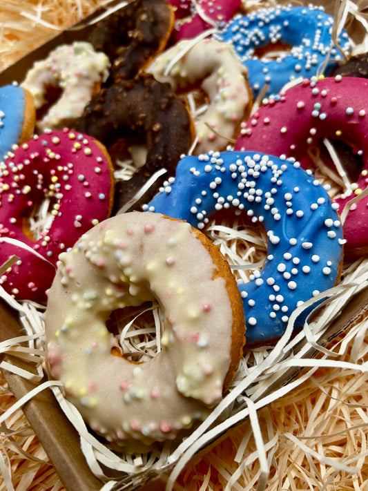 Doggy Doughnut