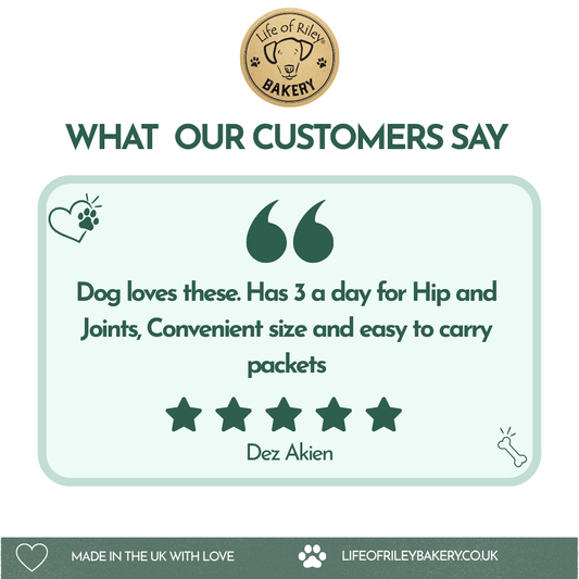 Hip and joint turmeric dog biscuit bones from Life of Riley