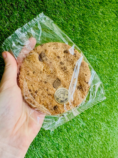 GIANT Doggy Cookie