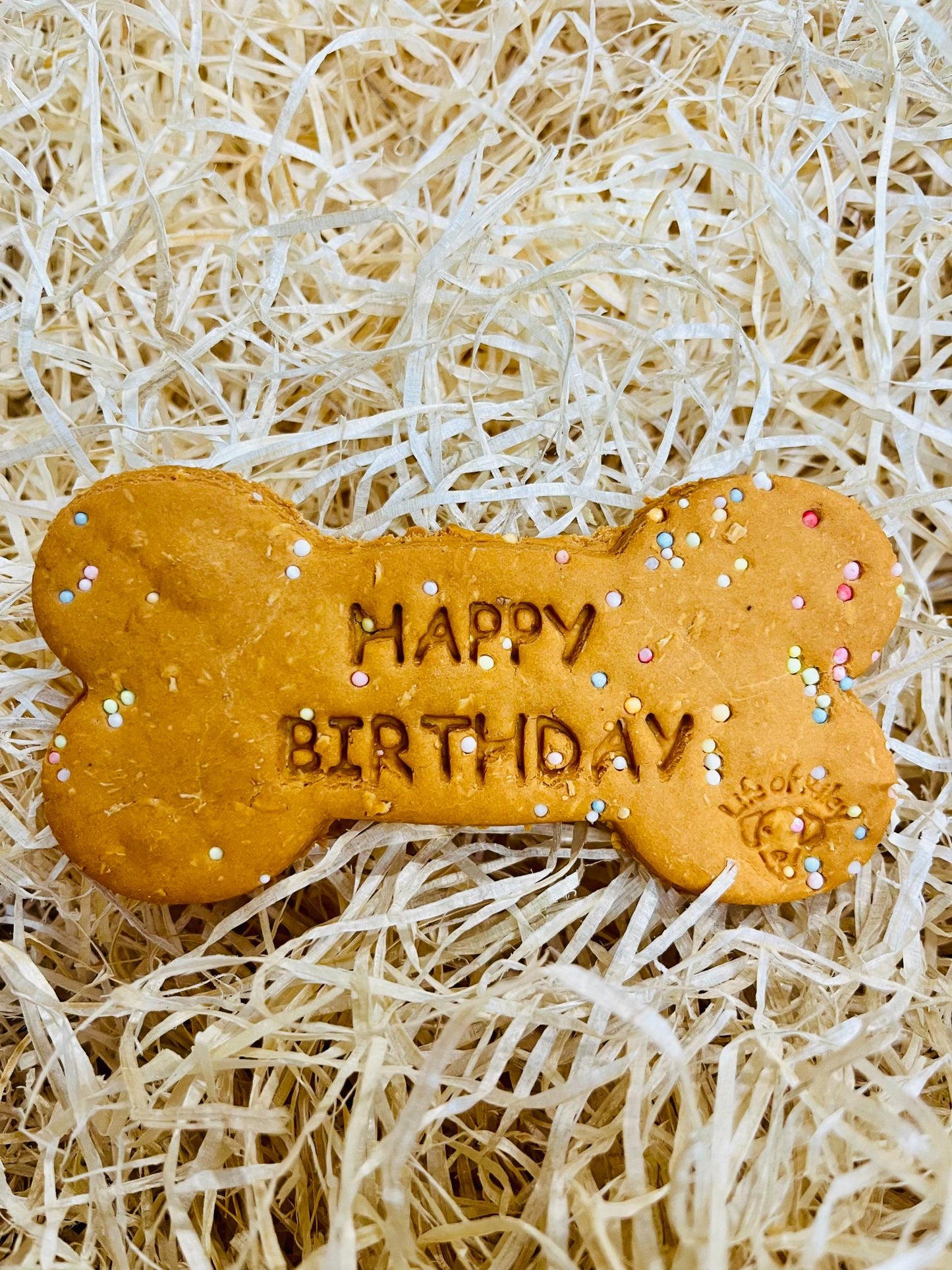 Birthday Big Biscuit Bone