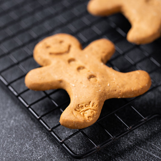 Large Gingerbread Man Dog Biscuit