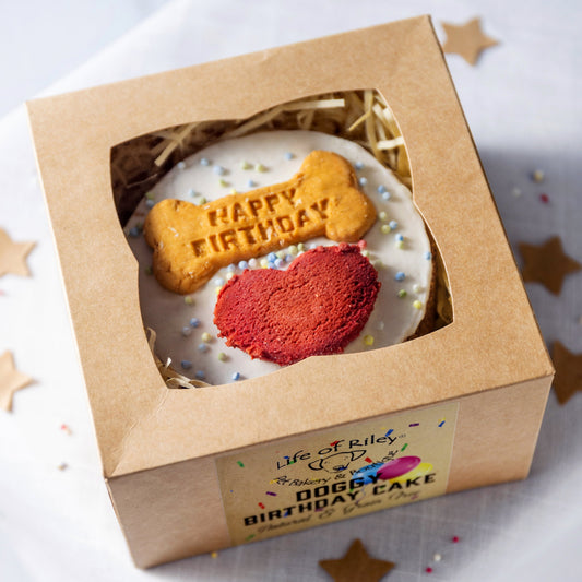Dog birthday cake in a box with decorative stars on a white background