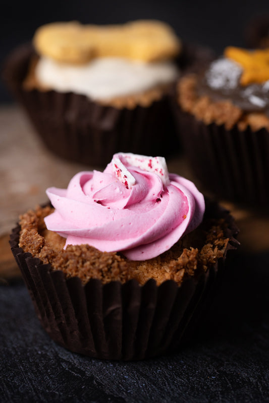 Luxury Doggy Pupcake Giftbox —4 Dog Cupcakes