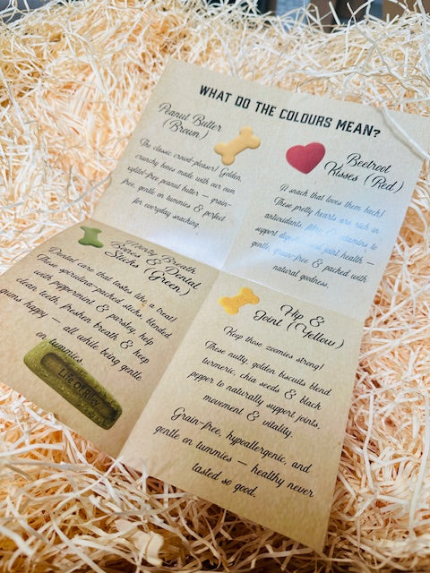 Premium Dogvent! Giant Doggy Advent Calendar Jar