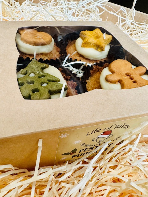 Festive Pupcake Gift Box of 4