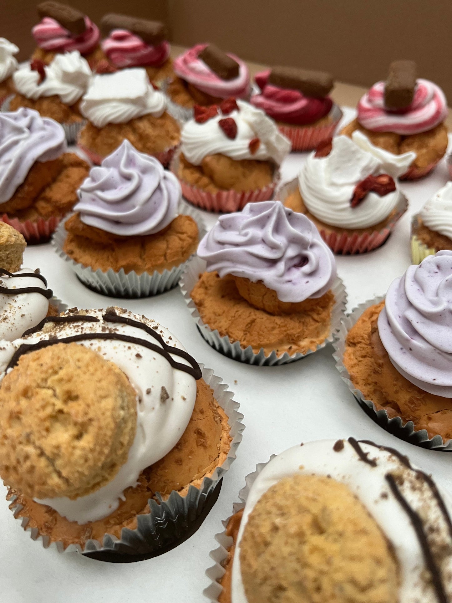 Luxury Pupcake Pawty Box - Box of 12