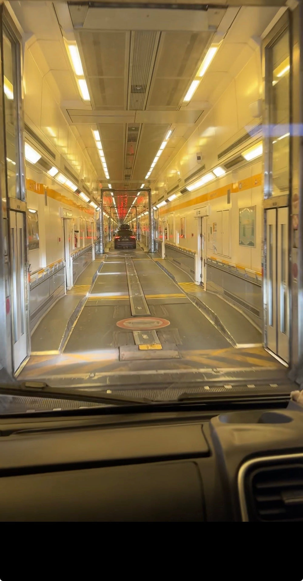 Taking Your Dog on LeShuttle: What Actually Happens