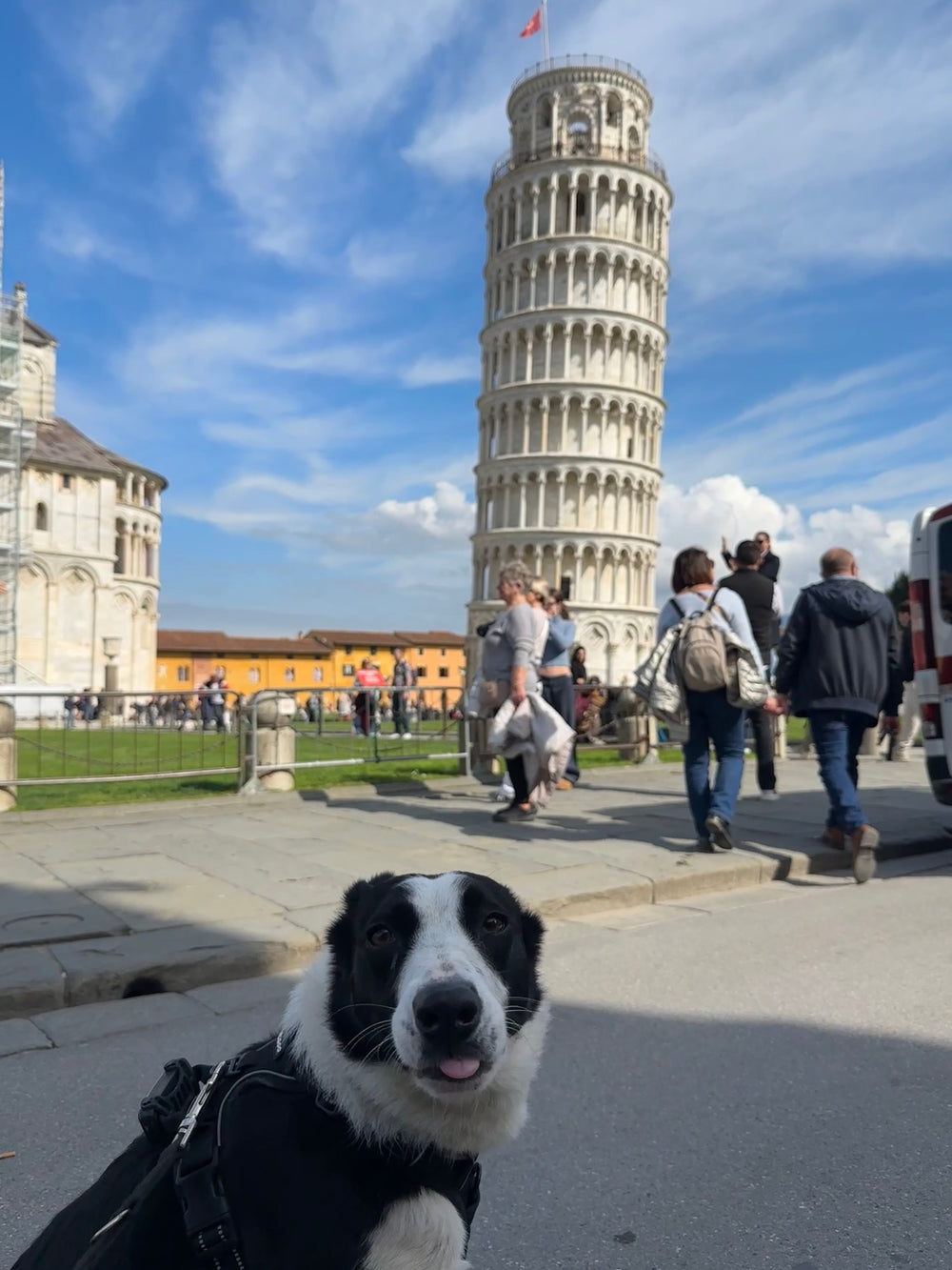 Is Italy a Good Place to Take Your Dog?