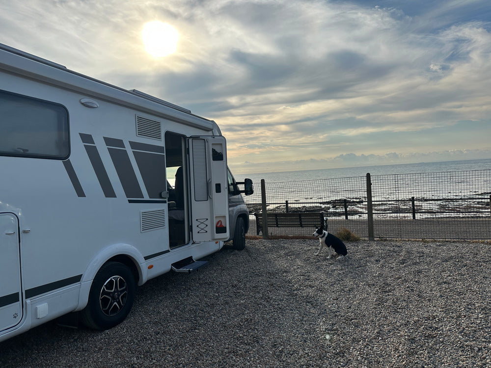Taking Your Dog on the Ferry to France: What It’s Really Like