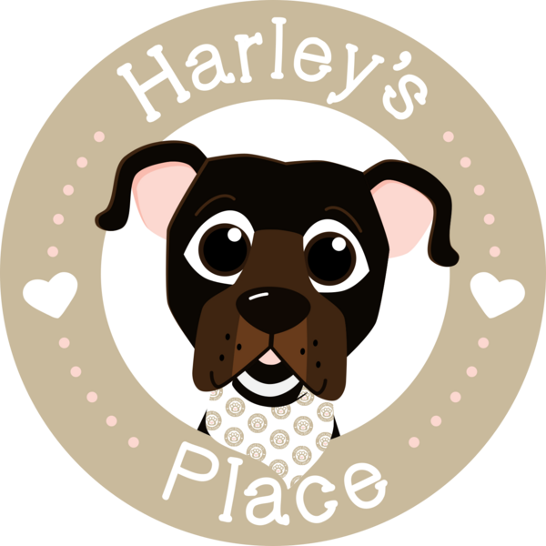 From Suits to Snacks: How One Woman Left Corporate Law to Build a Natural Dog Haven