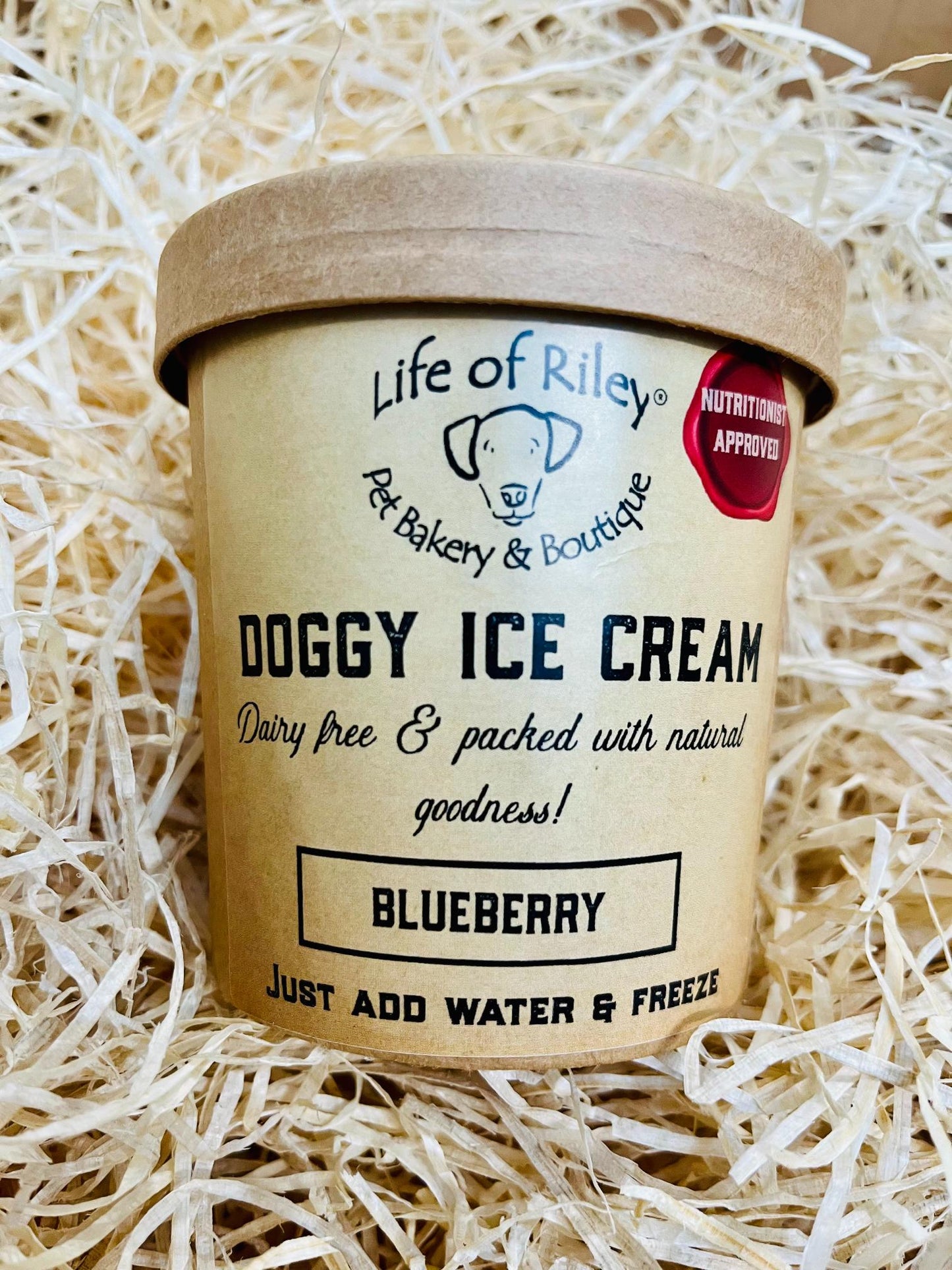 Doggy DIY Ice Cream Kit - Just Add Water!