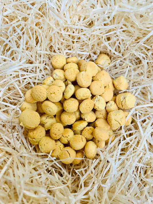 Cheesy Training Dog Treats