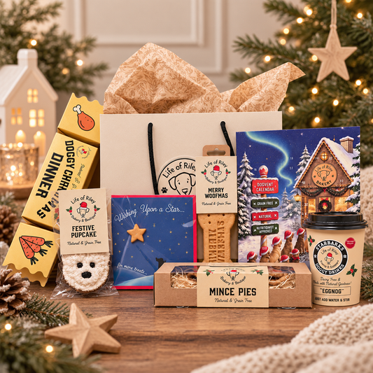 Big Christmas Bundle