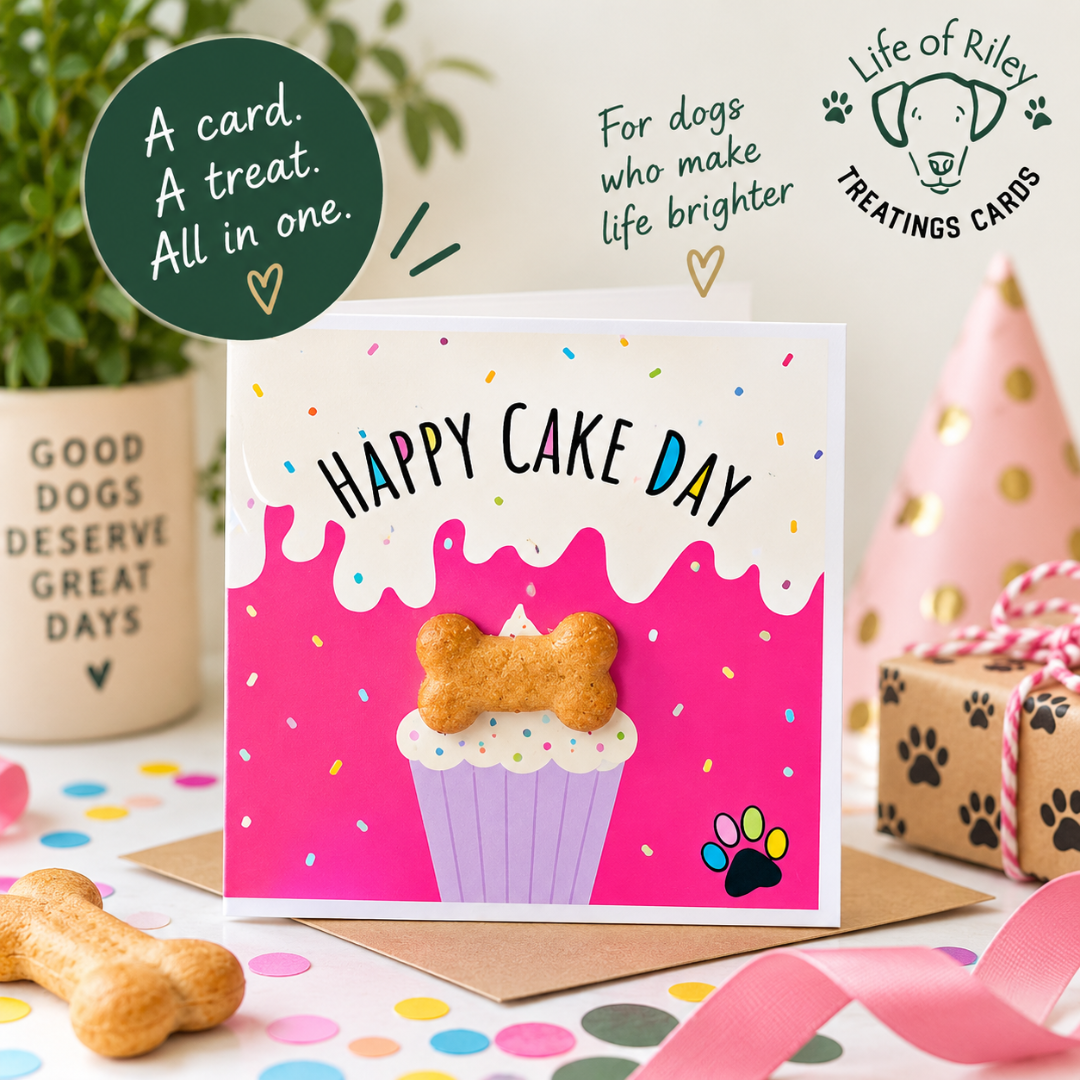 Treatings greeting card with an edible dog biscuit attached