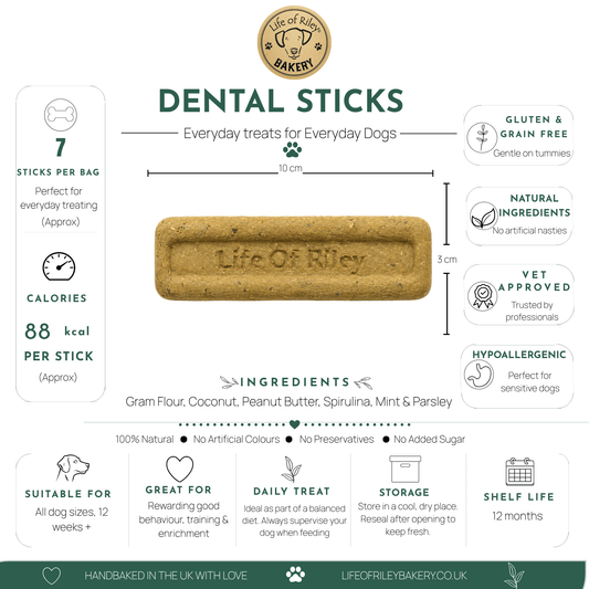 Daily Dental Sticks