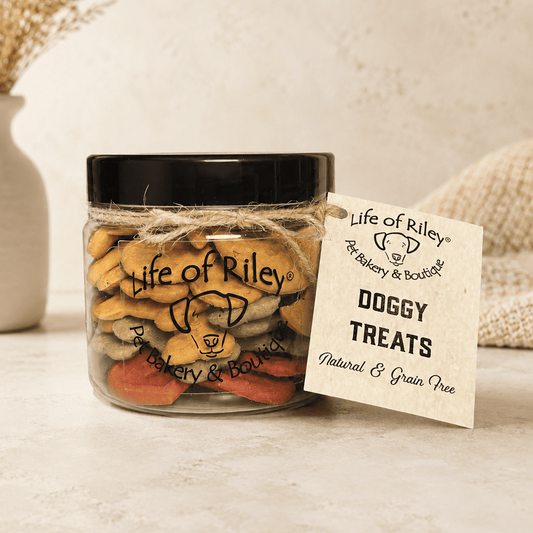 Taster Jar - Everyday Selection