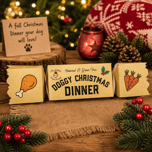Doggy Christmas Roast Dinner Cracker