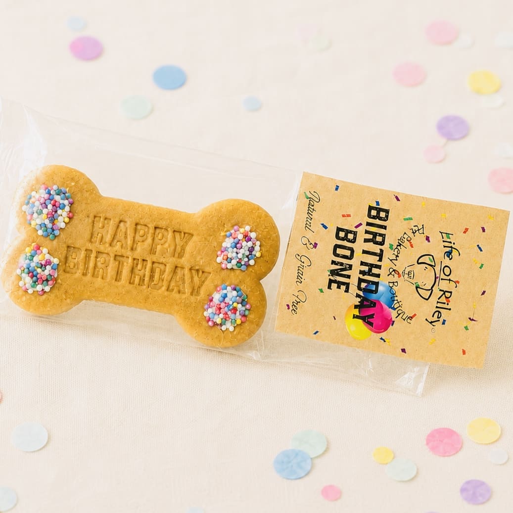 Birthday Big Biscuit Bone