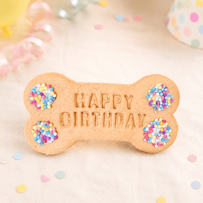 Birthday Big Biscuit Bone