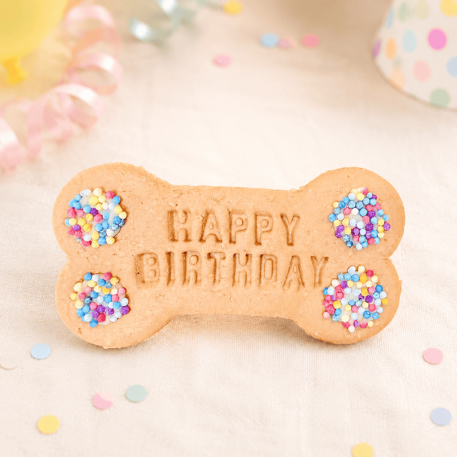 Birthday Big Biscuit Bone