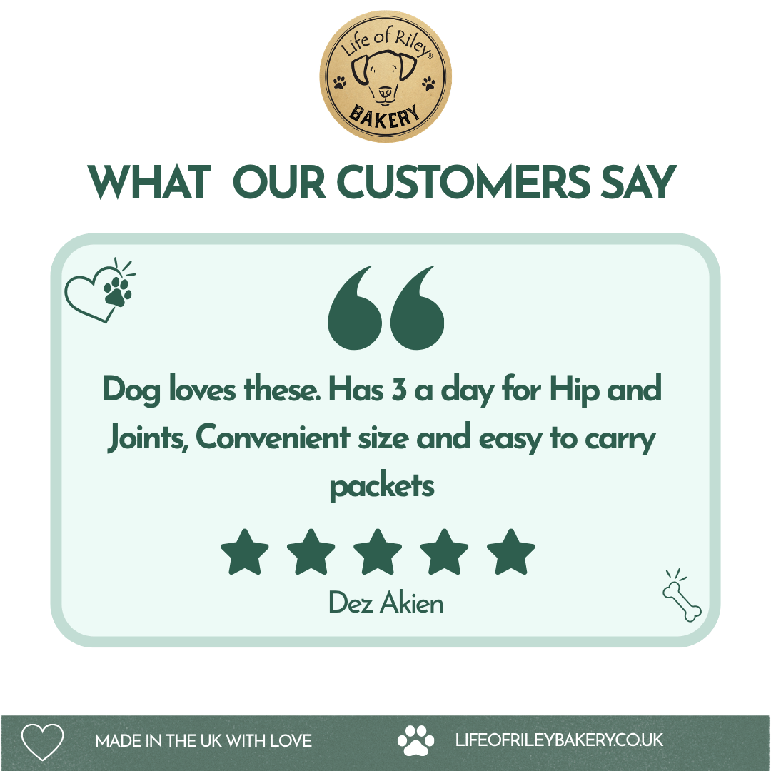 Hip and joint turmeric dog biscuit bones from Life of Riley