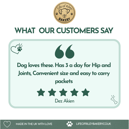 Hip and joint turmeric dog biscuit bones from Life of Riley