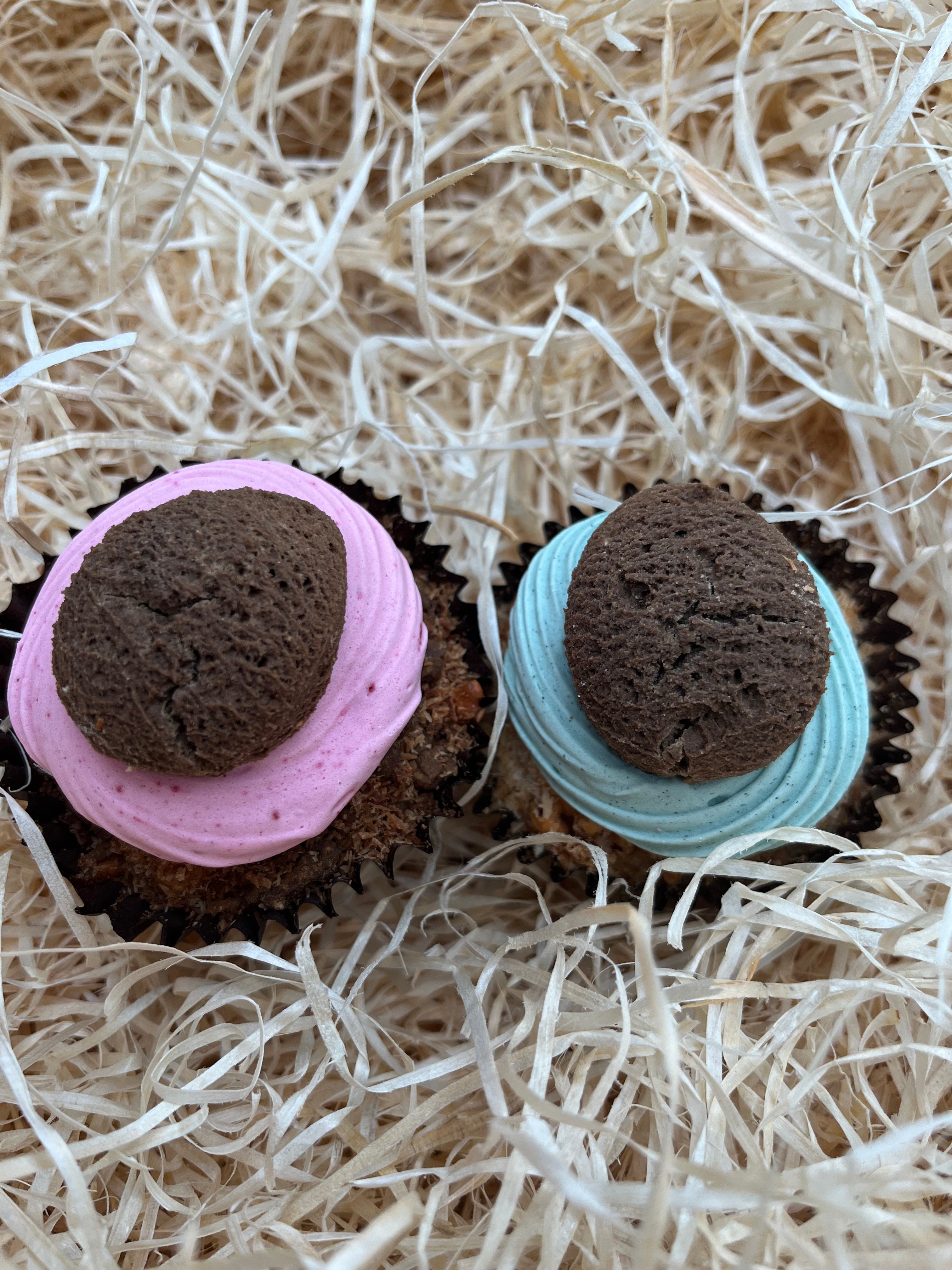 Easter Egg Pupcake - Natural Grain Free Dog Cupcake