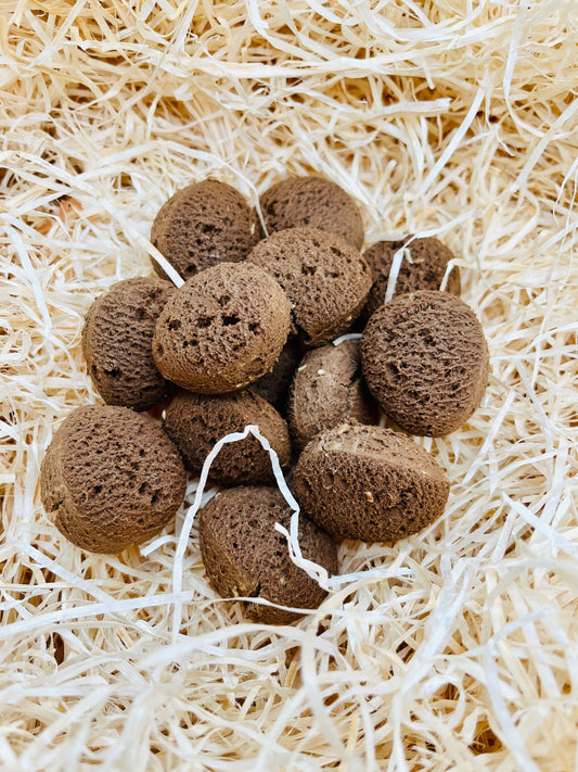 Doggy Easter Egg Hunt Kit