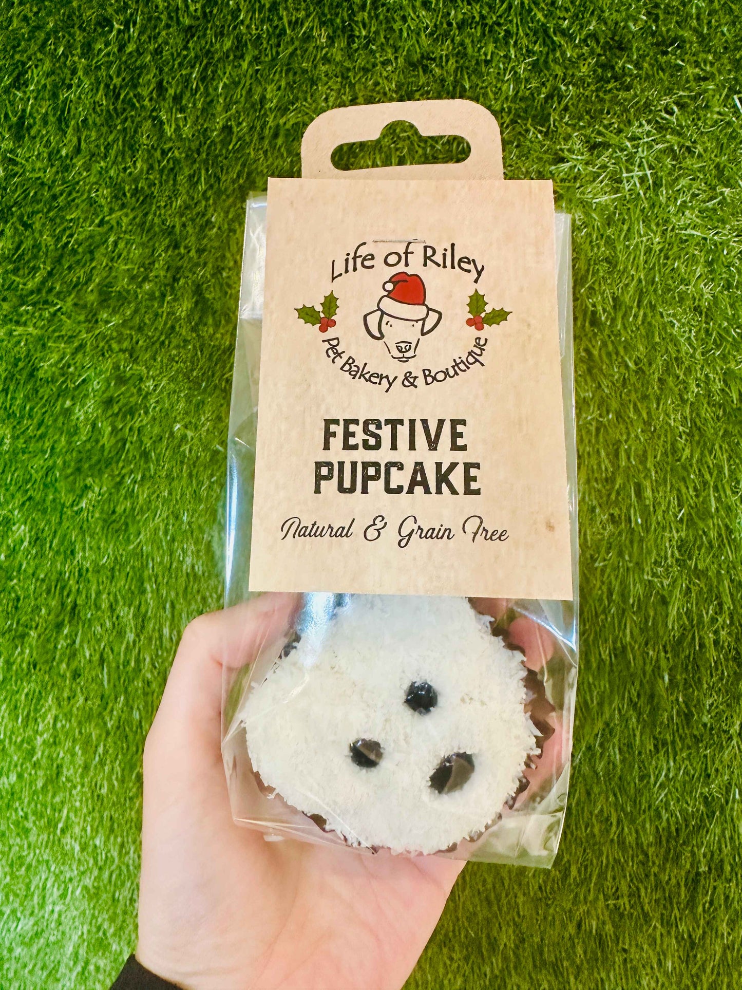 Pierre the Polar Bear Festive Pupcake