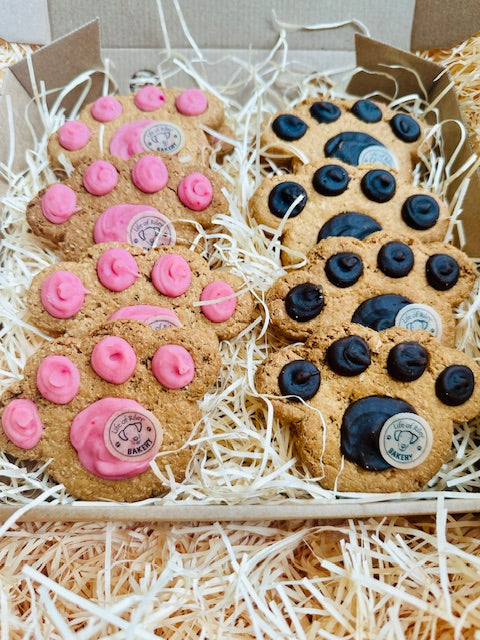 NEW! Paw Print Cookie