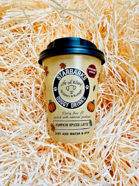 DIY Doggy Drinks - Pumpkin Spiced Latte