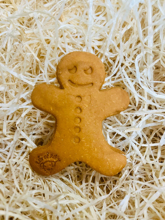 Large Gingerbread Man Dog Biscuit