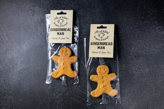 Large Gingerbread Man Dog Biscuit