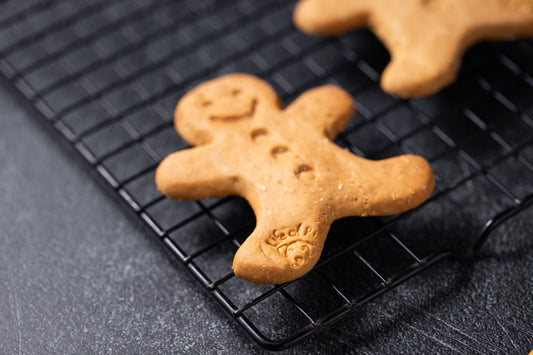 Large Gingerbread Man Dog Biscuit