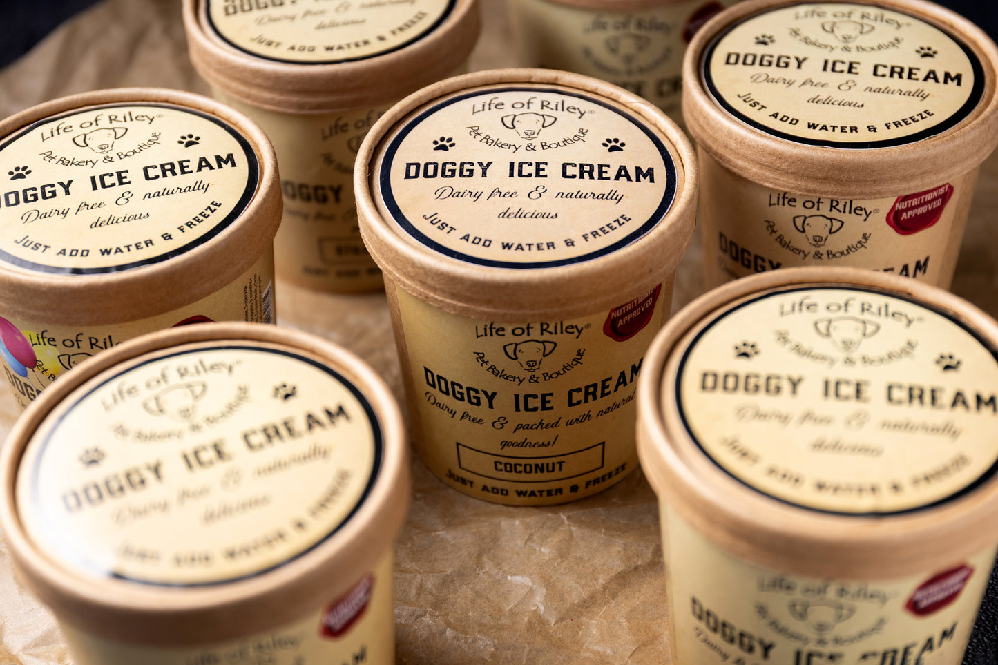 Doggy DIY Ice Cream Kit - Just Add Water!