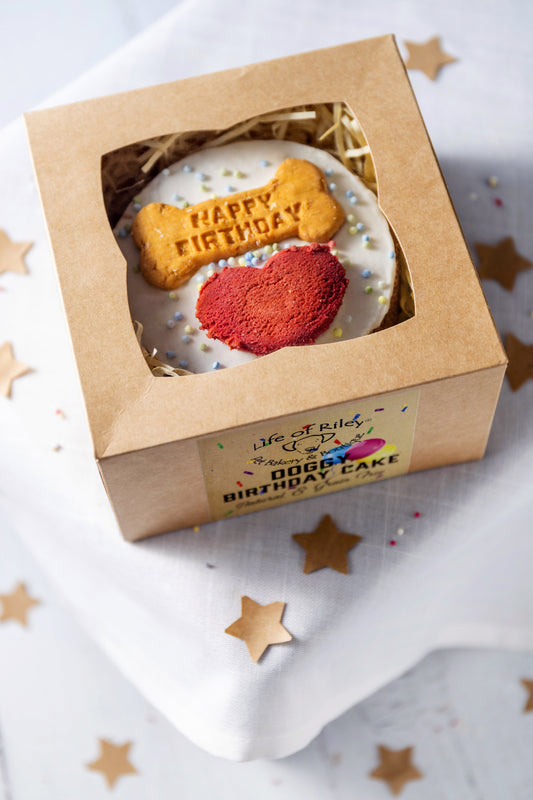 Dog Birthday Cake