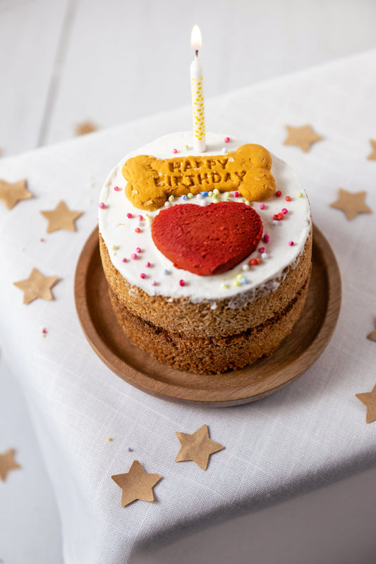 Dog Birthday Cake