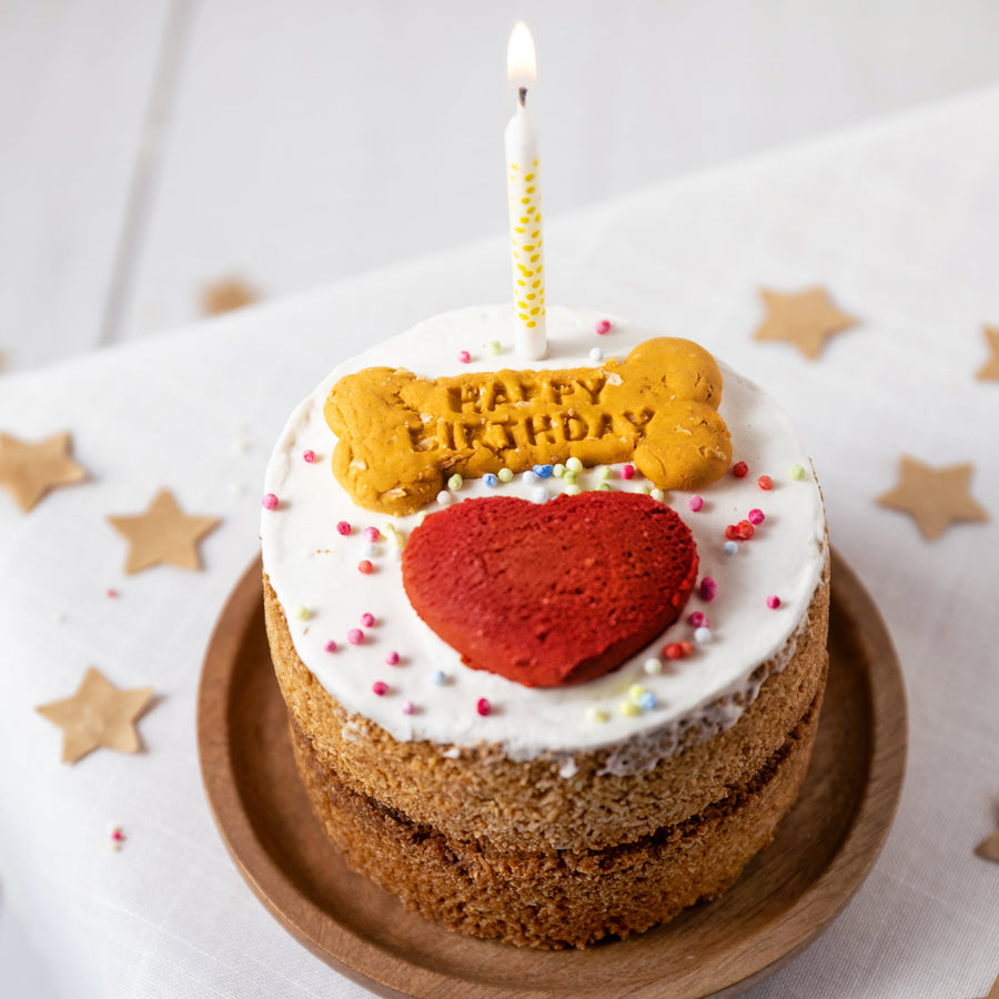 Grain-Free Dog Birthday Cake