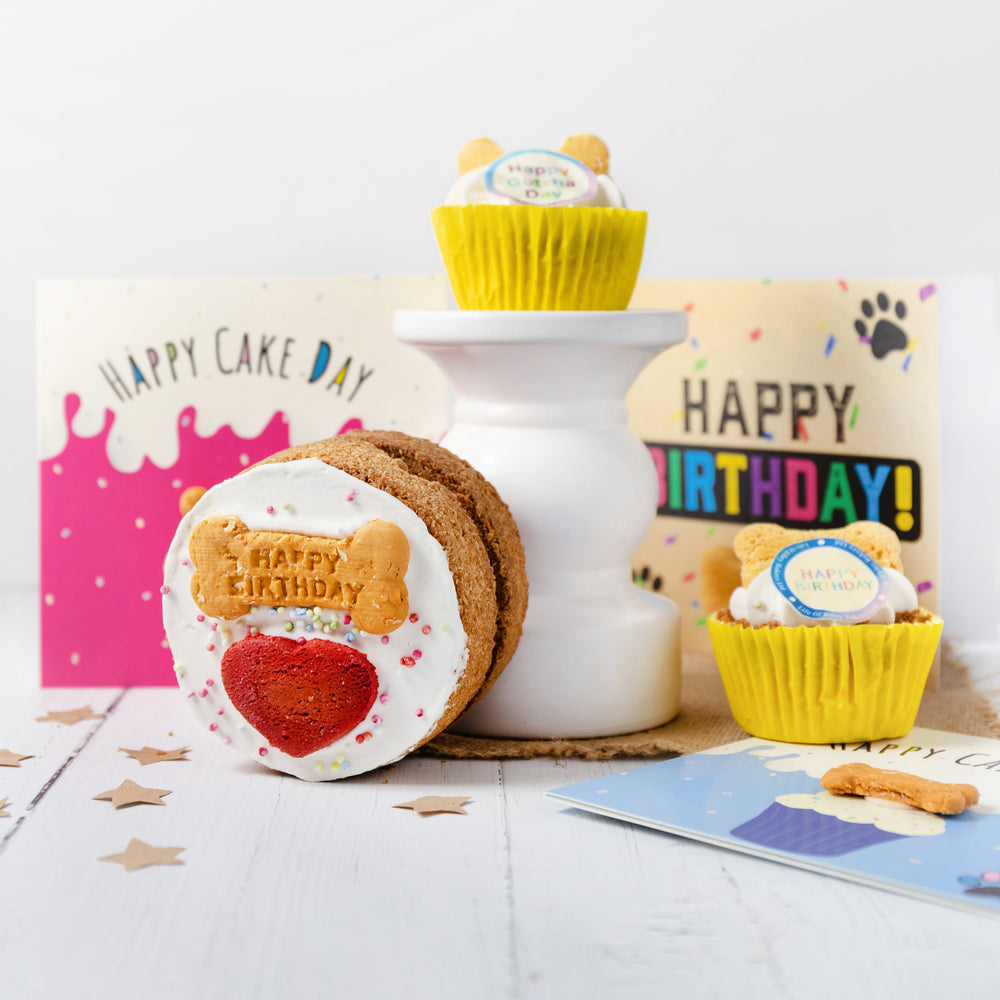 Dog birthdays & gotcha days