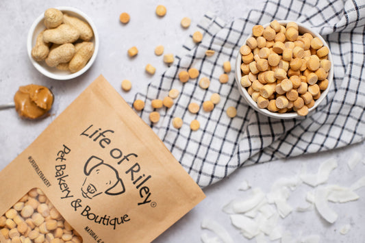 Cheesy Training Dog Treats