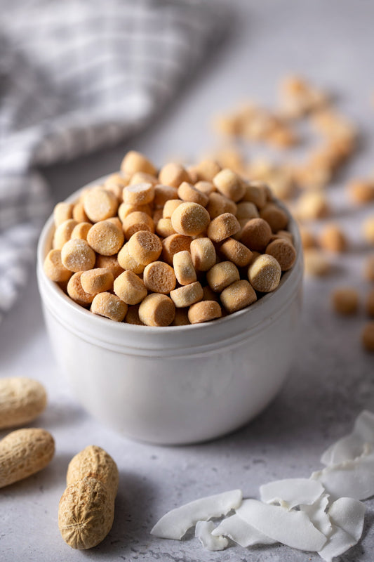 Cheesy Training Dog Treats