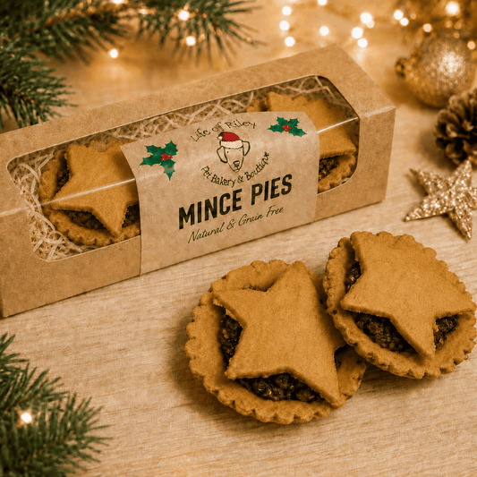 Doggy Mince Pies