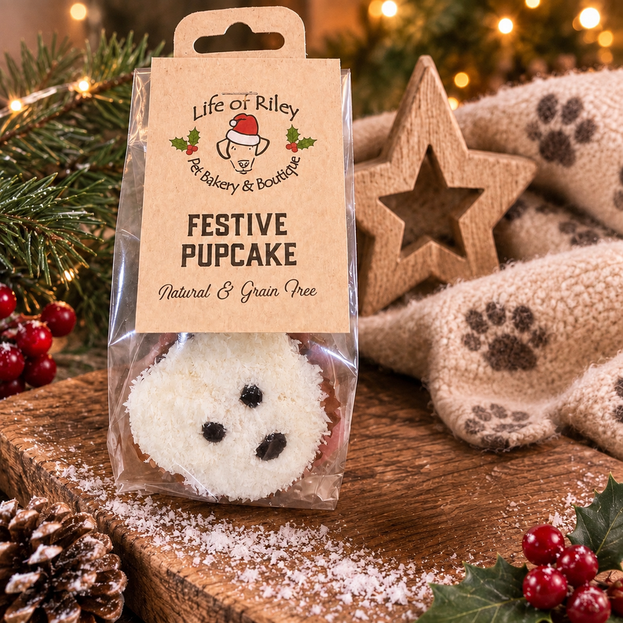 Pierre the Polar Bear Festive Pupcake