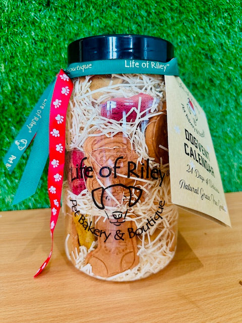 Premium Dogvent! Giant Doggy Advent Calendar Jar - COMING SOON