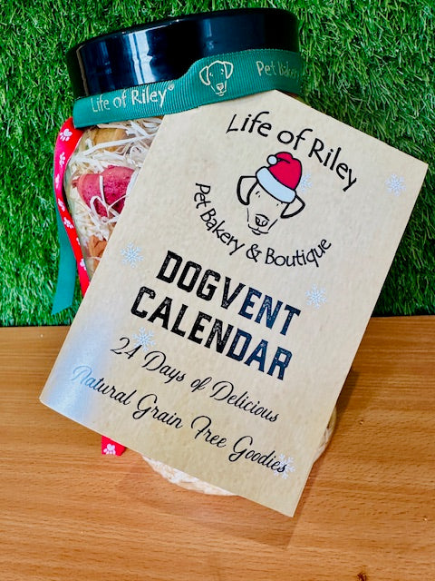 Premium Dogvent! Giant Doggy Advent Calendar Jar - COMING SOON