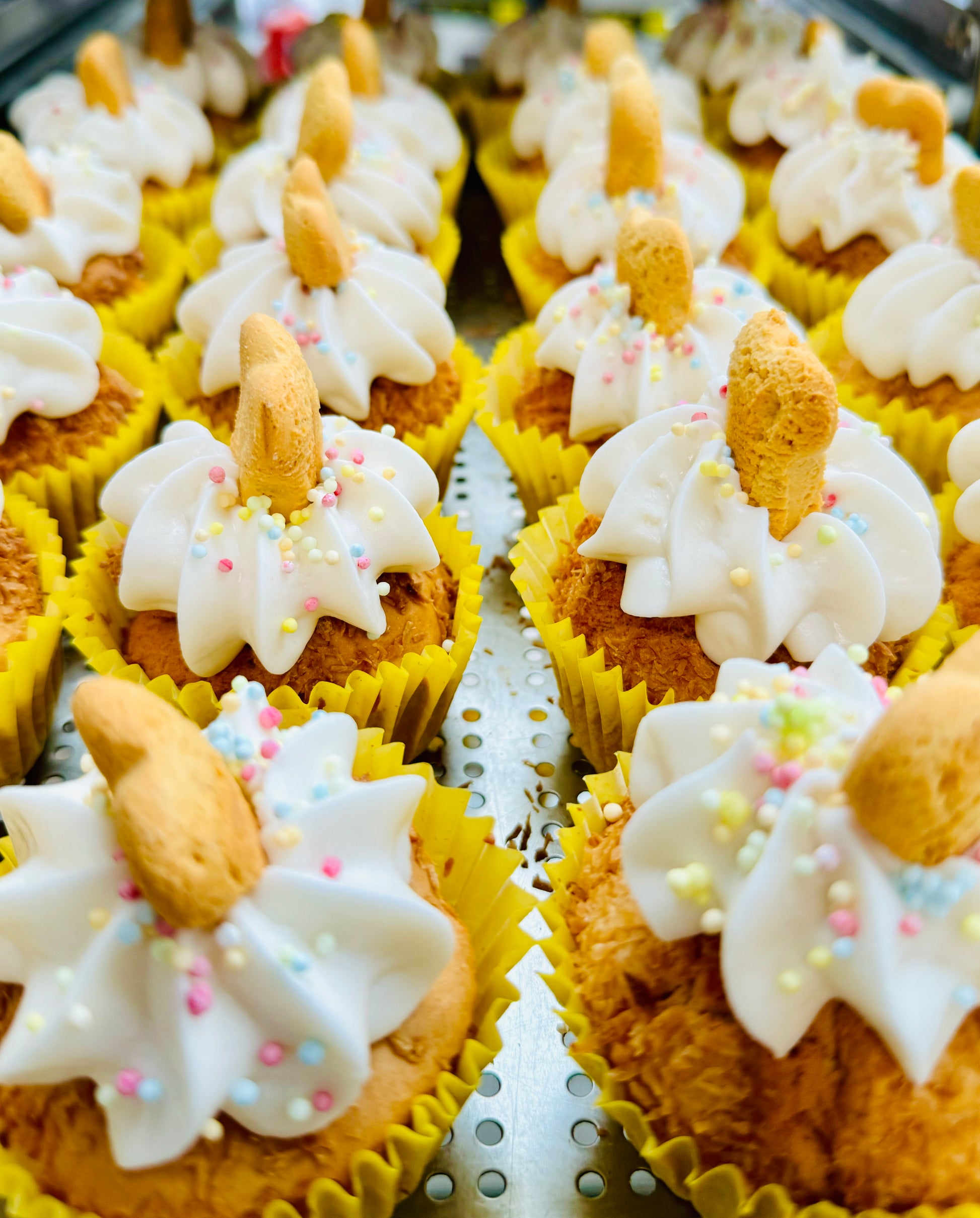 Pawty Pupcake Grain Free Natural Dog Cupcake Healthy, Handmade